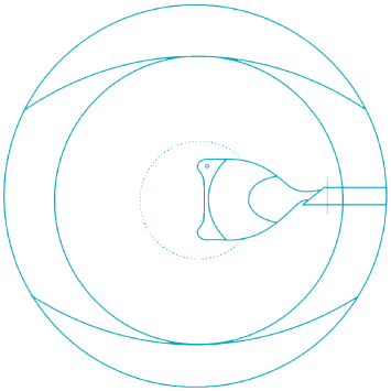 Insertion and Positioning